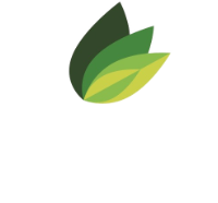 メールアイコン